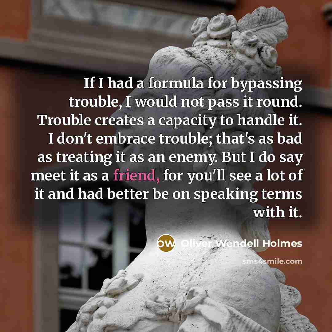 “If I had a formula for bypassing trouble, I would…” quote by Oliver Wendell Holmes