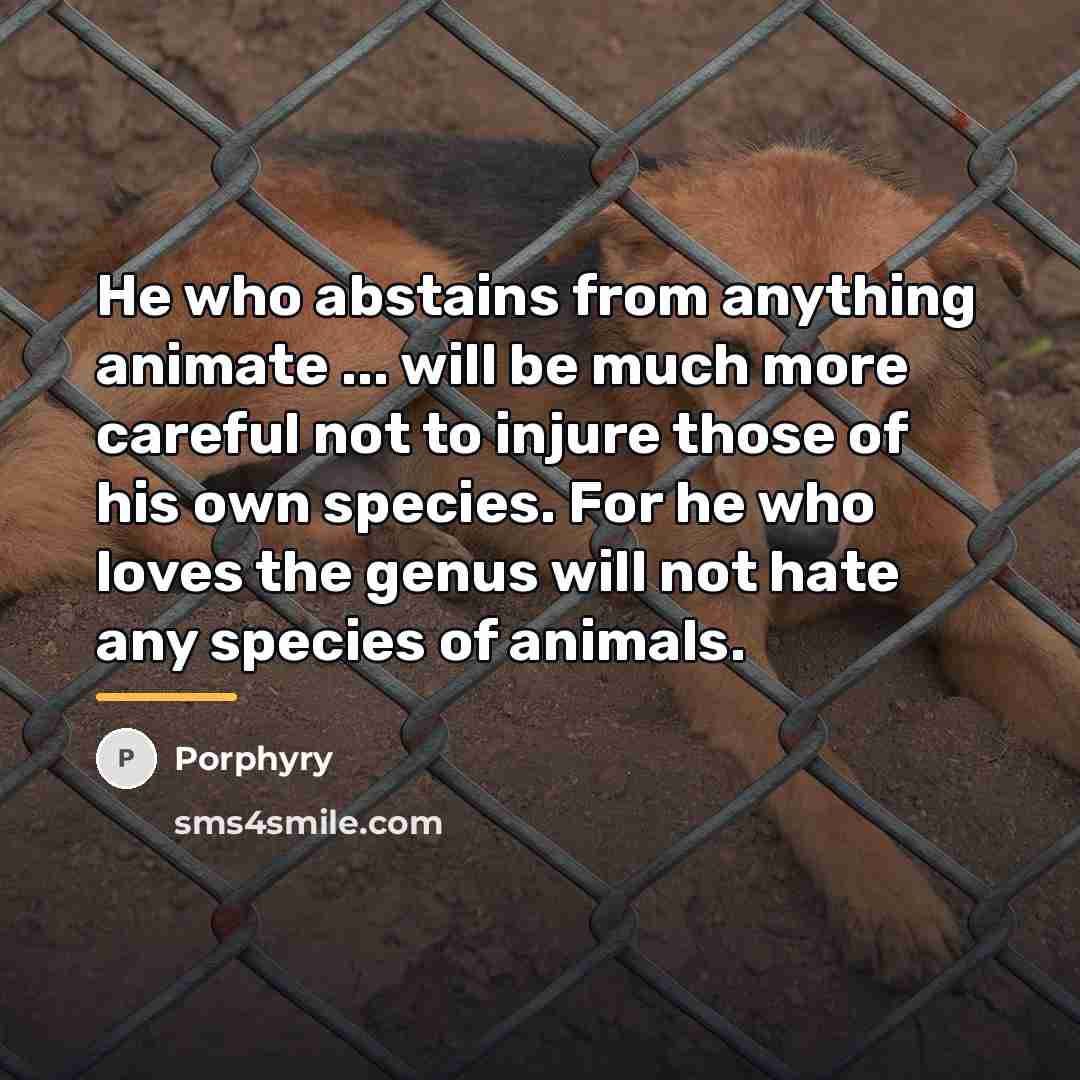 “He who abstains from anything animate ... will be much…” quote by Porphyry