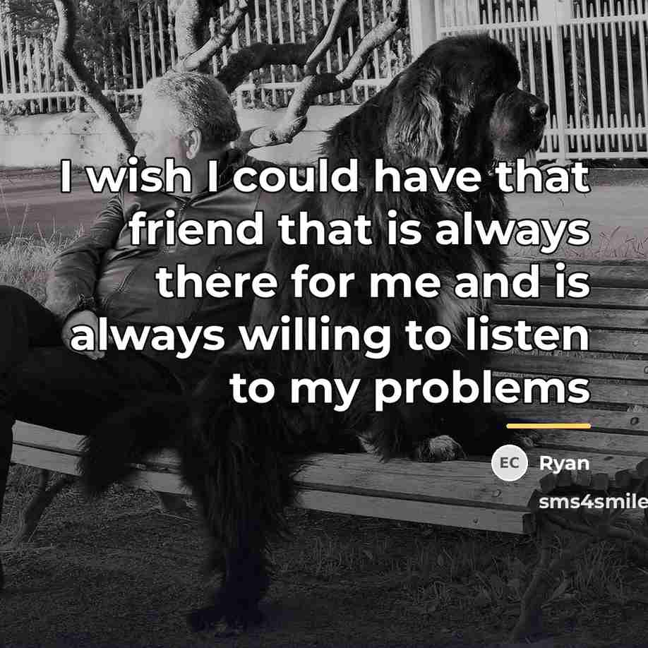 “I wish I could have that friend that is always…” quote by Ryan