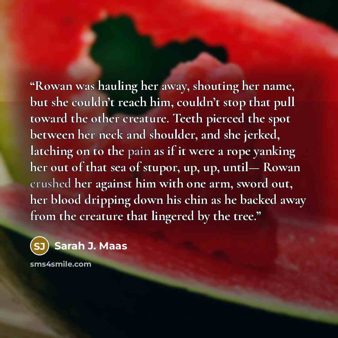 “Rowan was hauling her away, shouting her name, but she couldn’t reach him, couldn’t stop that pull toward the other creature. Teeth pierced the spot between her neck and shoulder, and she jerked, latching on to the pain as if it were a rope yanking her out of that sea of stupor, up, up, until…” quote by Sarah J. Maas