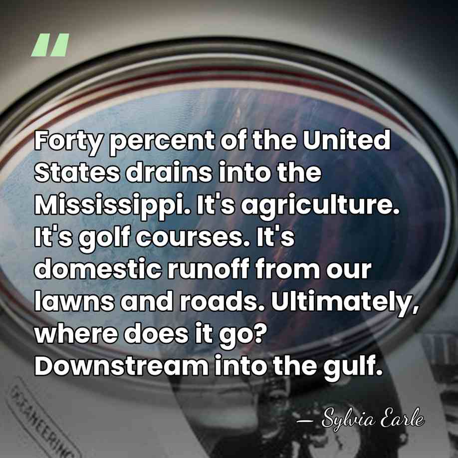 Forty percent of the United States drains into the Mississippi. It's agriculture.&hellip; - Sylvia Earle