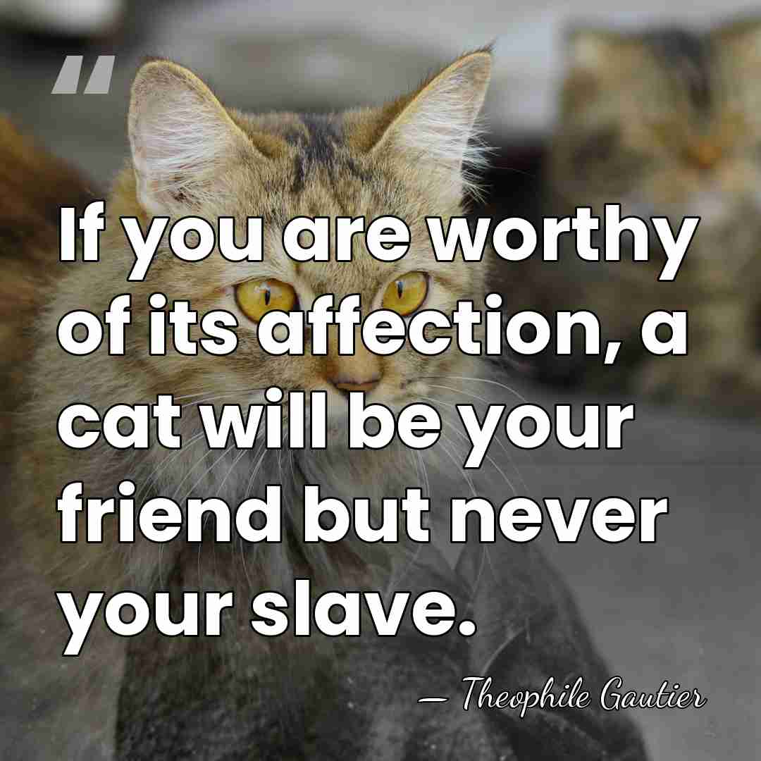 If you are worthy of its affection, a cat will be your&hellip; - Theophile Gautier