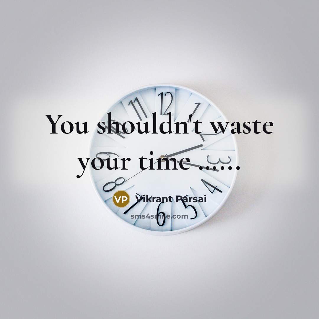 “You shouldn't waste your time ...........…” quote by Vikrant Parsai