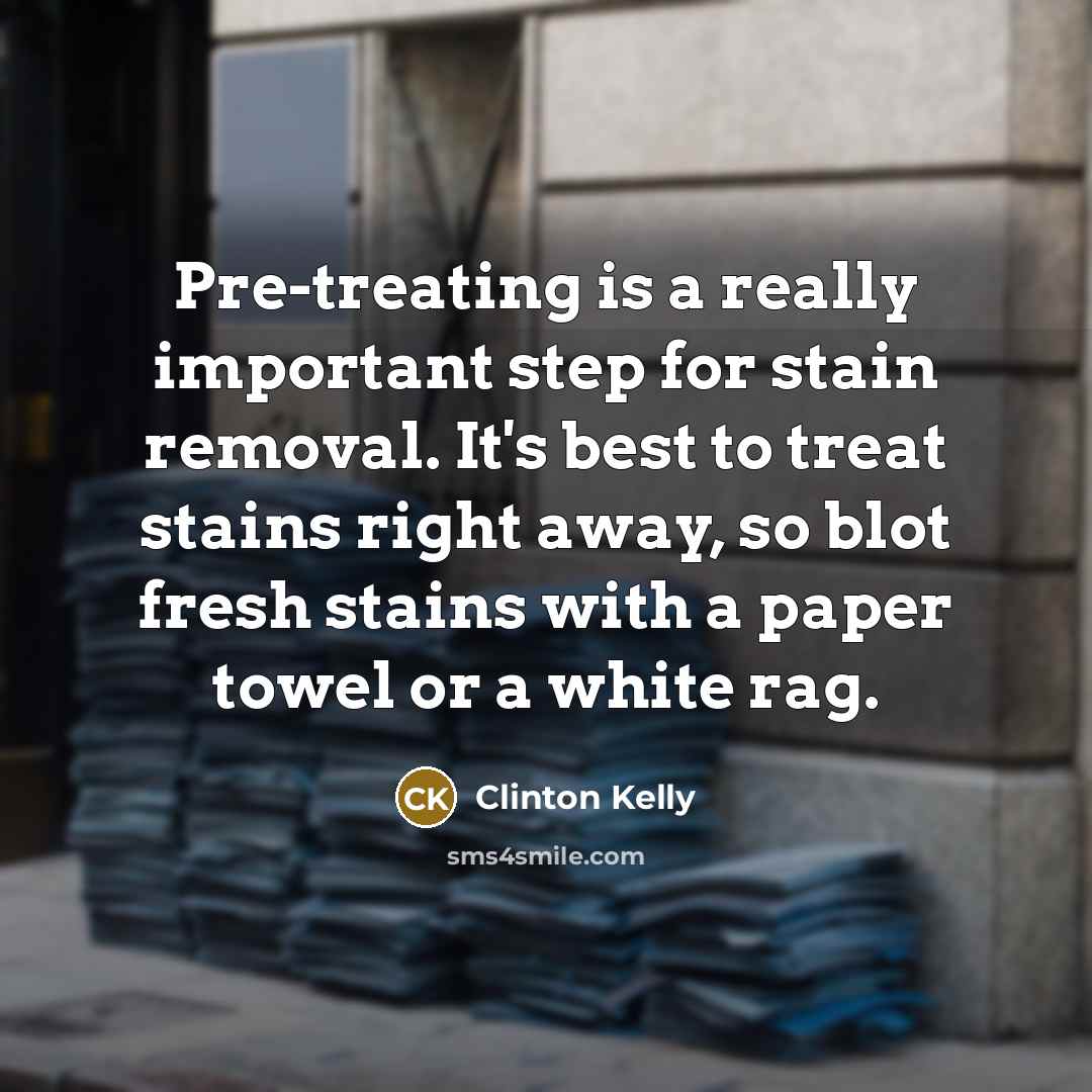 “Pre-treating is a really important step for stain removal. It's…” quote by Clinton Kelly