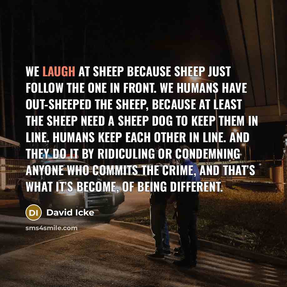 “We laugh at sheep because sheep just follow the one…” quote by David Icke