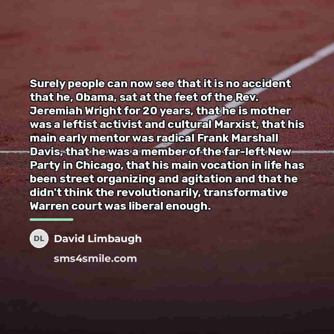 “Surely people can now see that it is no accident…” quote by David Limbaugh