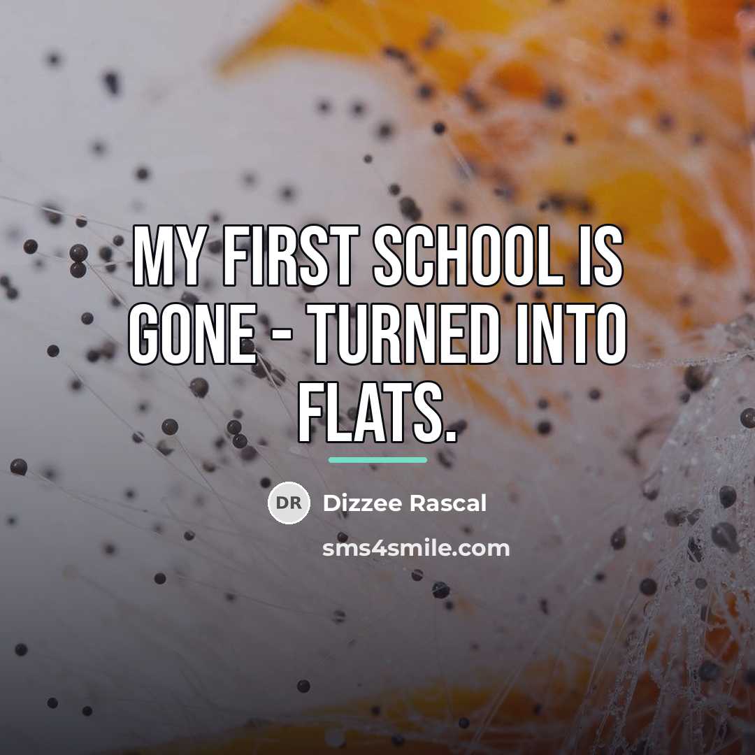“My first school is gone - turned into flats.…” quote by Dizzee Rascal