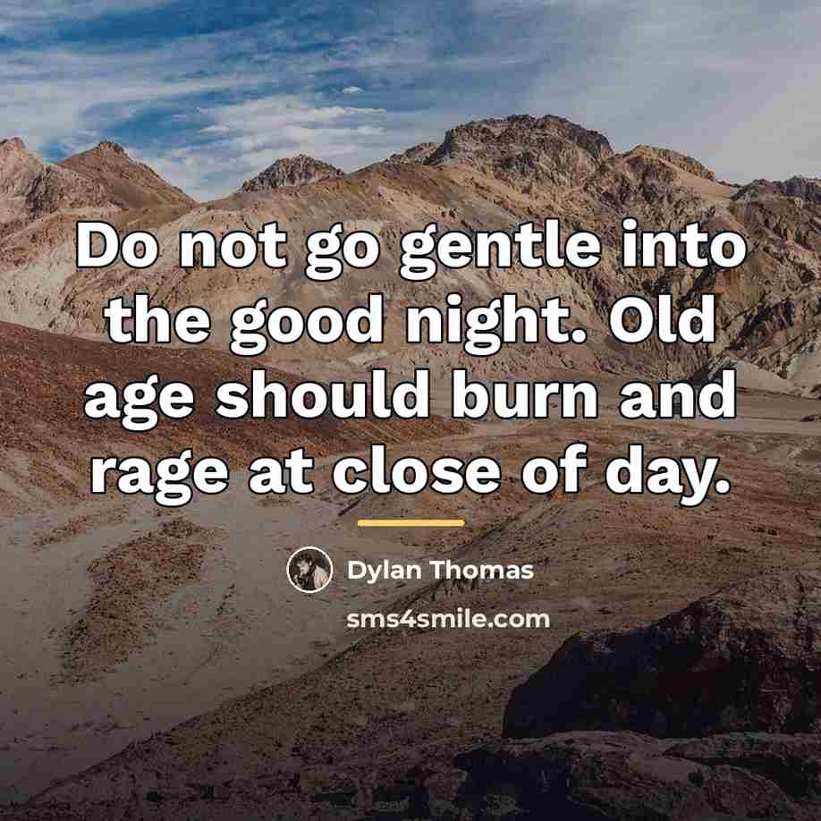 “Do not go gentle into the good night. Old age…” quote by Dylan Thomas