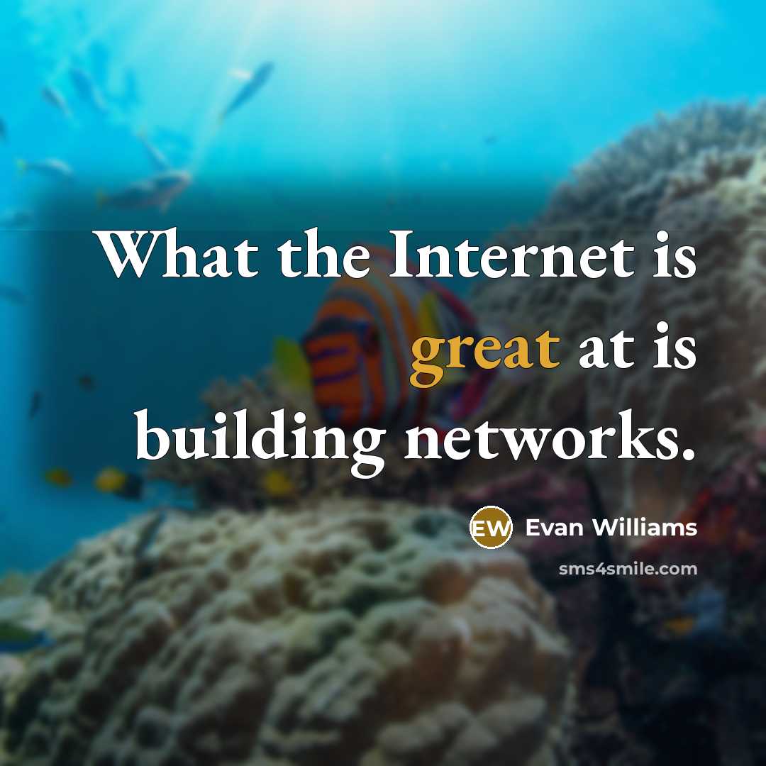 “What the Internet is great at is building networks.…” quote by Evan Williams