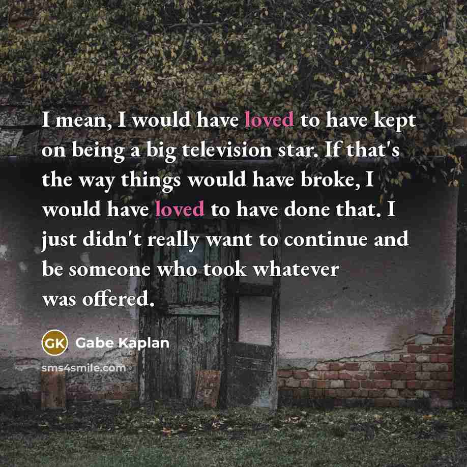 “I mean, I would have loved to have kept on…” quote by Gabe Kaplan