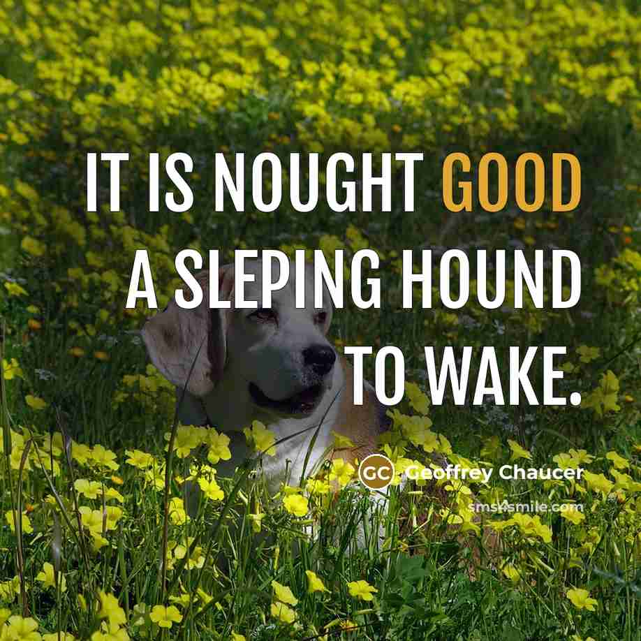 “It is nought good a sleping hound to wake.…” quote by Geoffrey Chaucer