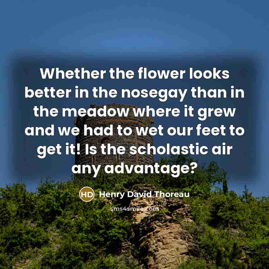 “Whether the flower looks better in the nosegay than in…” quote by Henry David Thoreau
