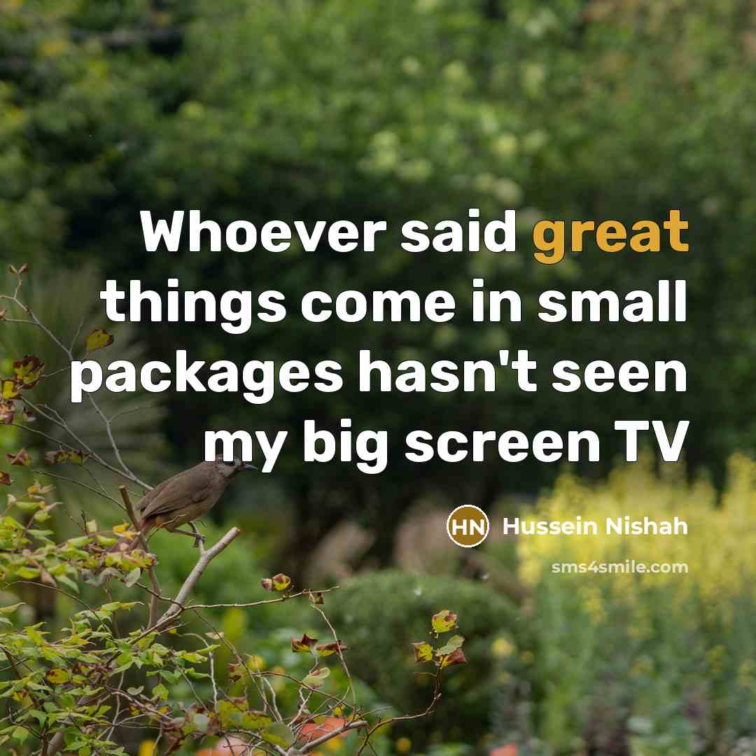 “Whoever said great things come in small packages hasn't seen…” quote by Hussein Nishah