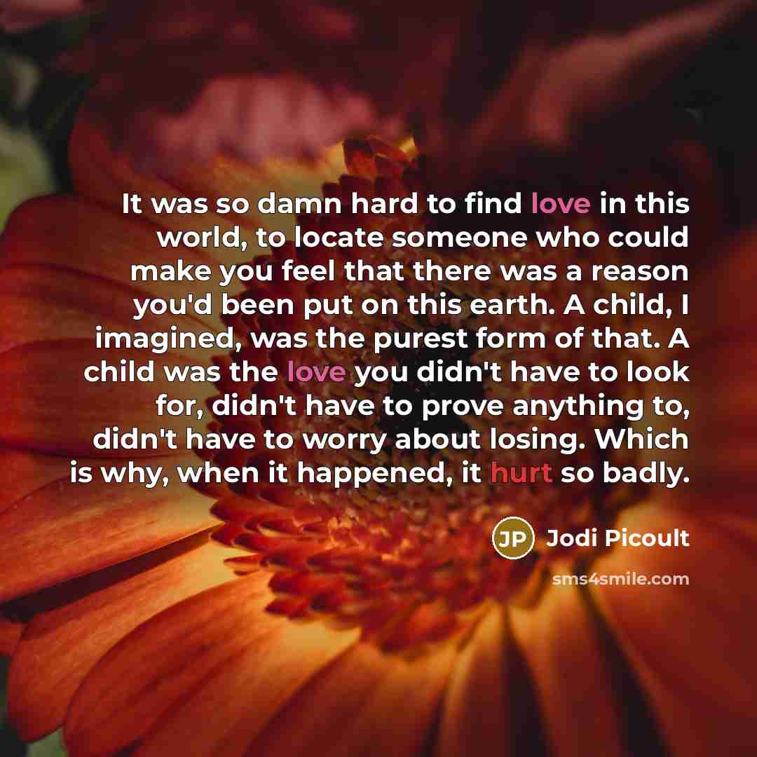 “It was so damn hard to find love in this…” quote by Jodi Picoult