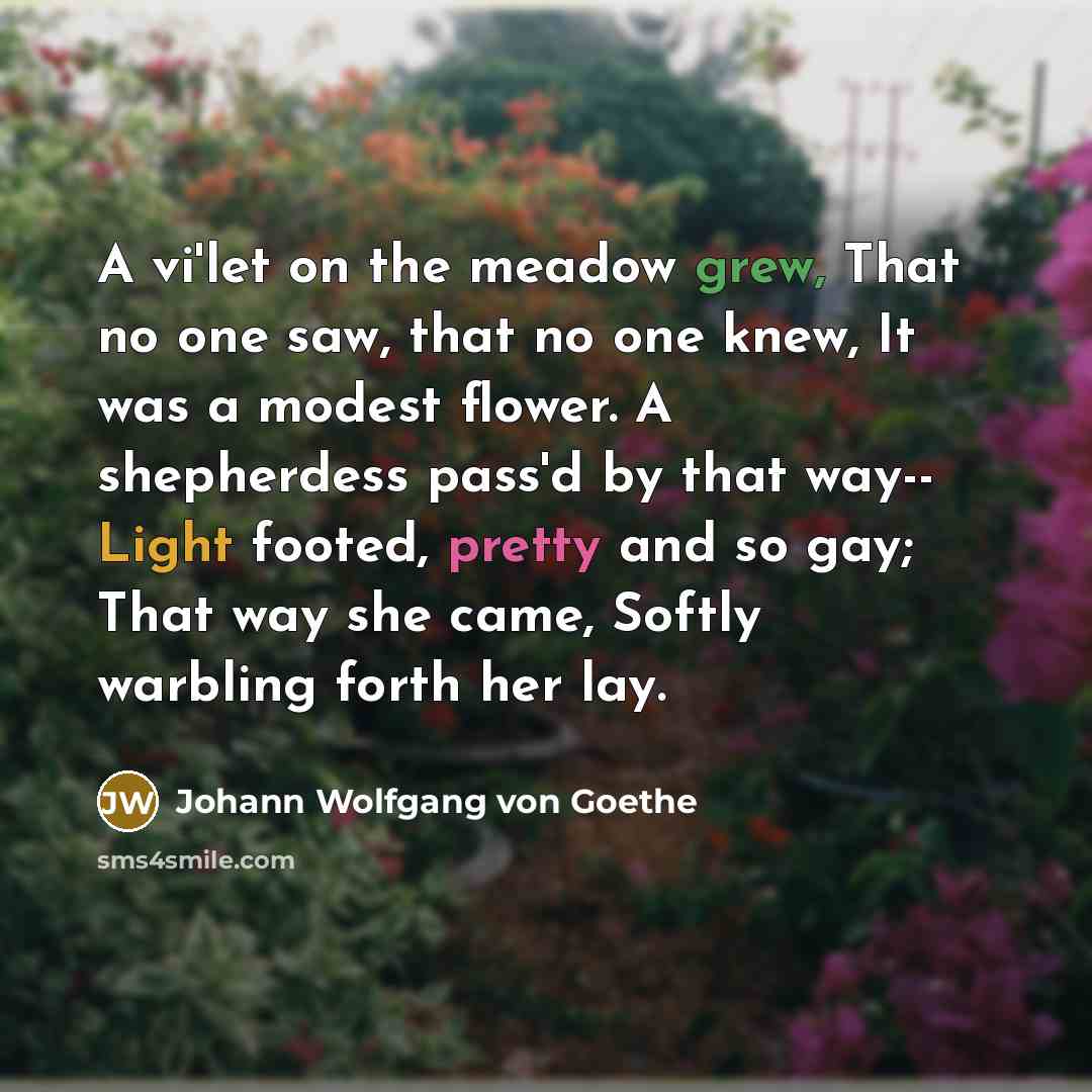“A vi'let on the meadow grew, That no one saw,…” quote by Johann Wolfgang von Goethe