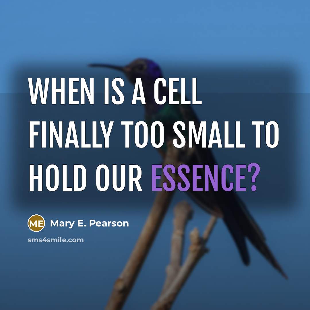 “When is a cell finally too small to hold our…” quote by Mary E. Pearson