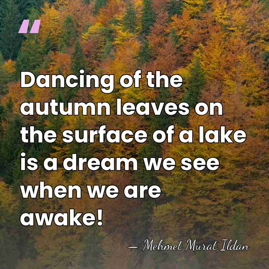 Dancing of the autumn leaves on the surface of a lake is&hellip; - Mehmet Murat Ildan