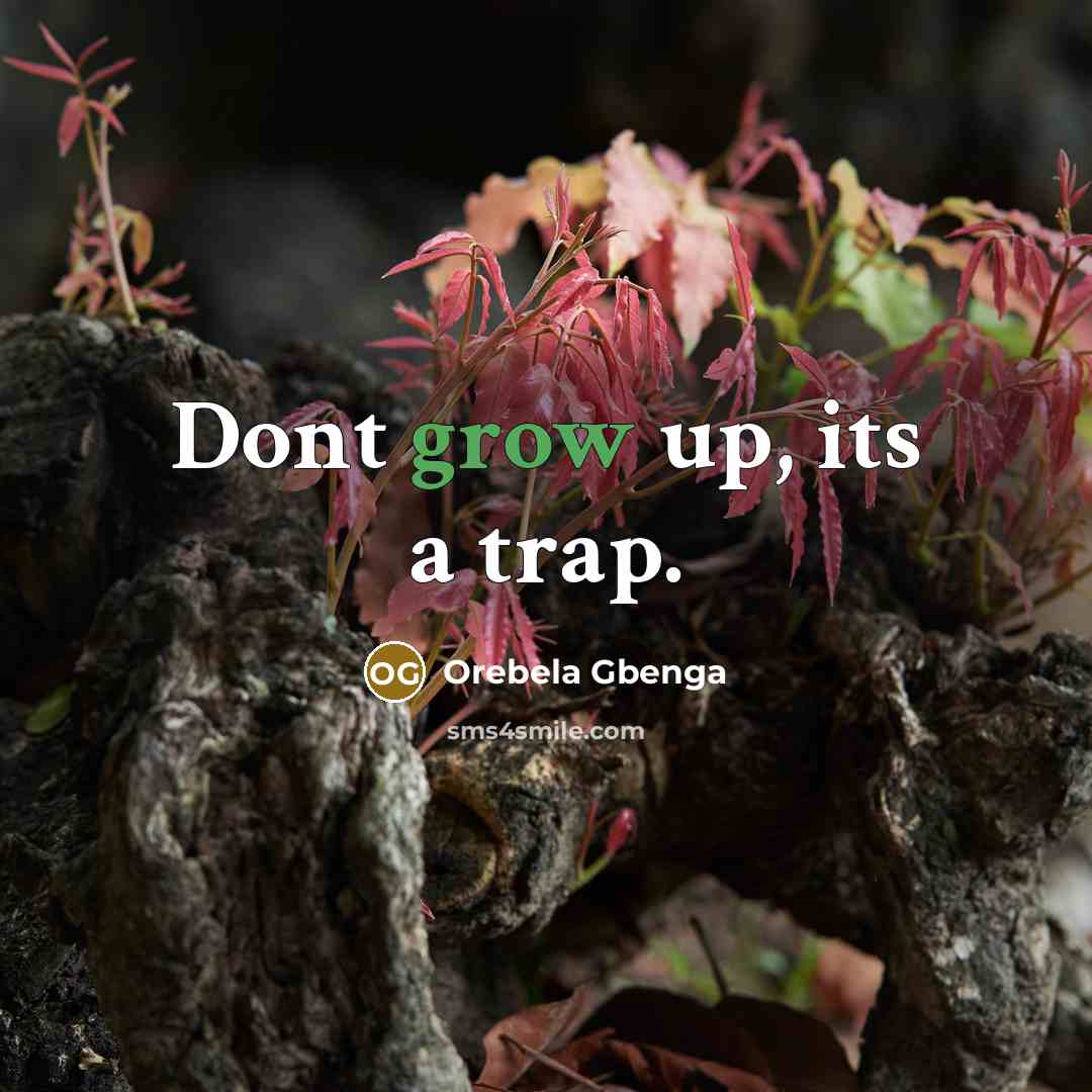 “Dont grow up, its a trap.…” quote by Orebela Gbenga