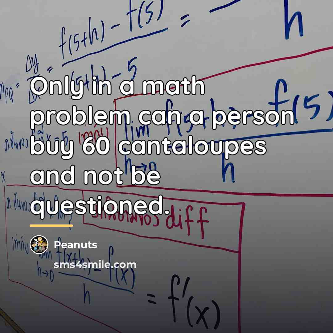 “Only in a math problem can a person buy 60…” quote by Peanuts