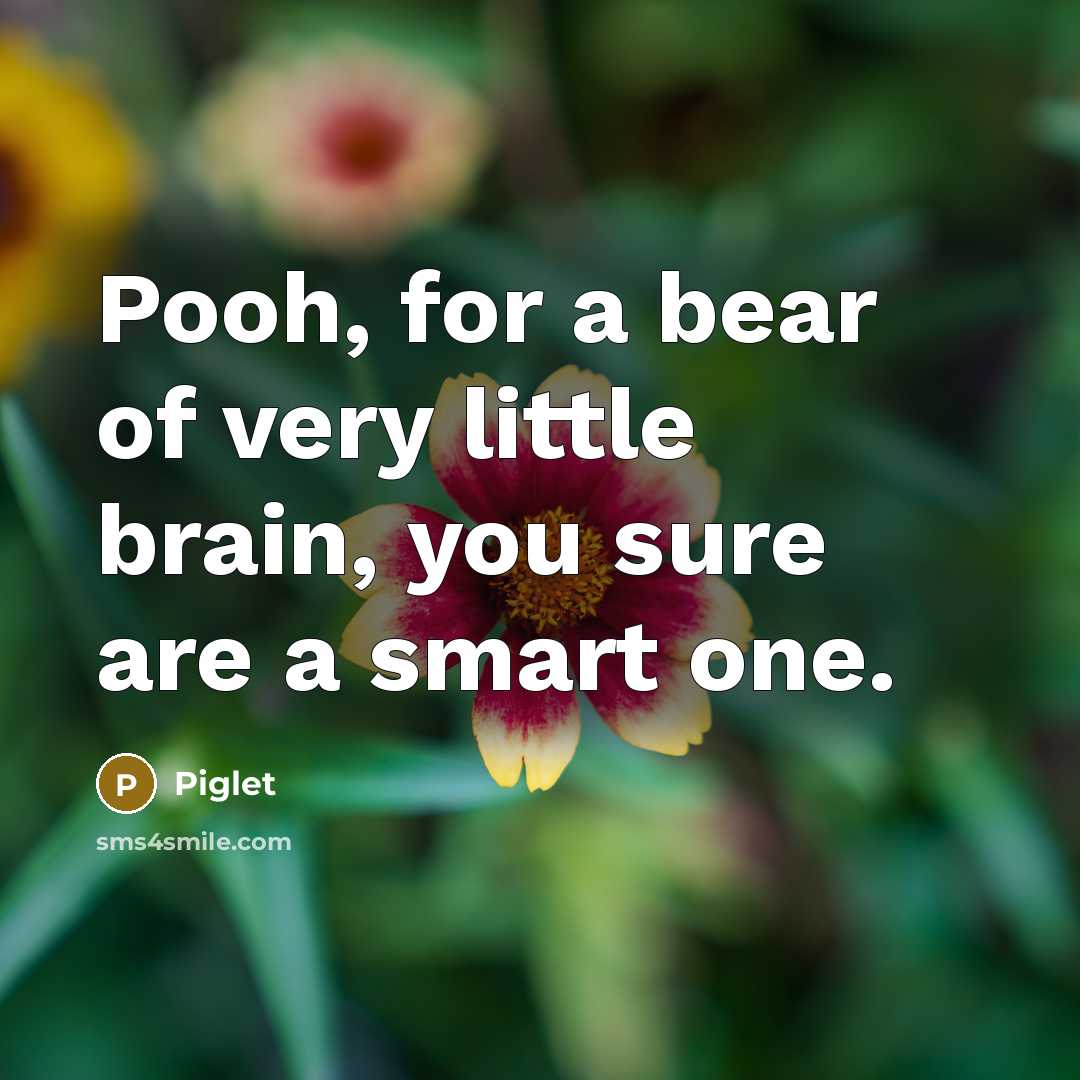 “Pooh, for a bear of very little brain, you sure…” quote by Piglet