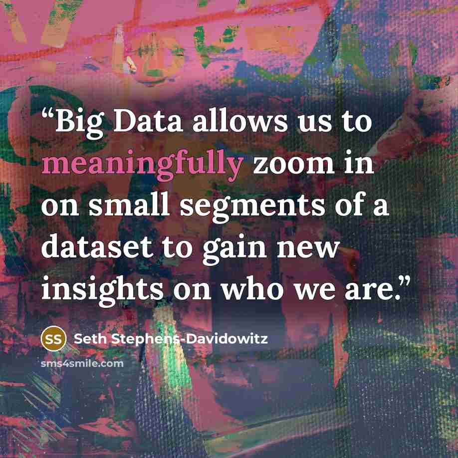 “Big Data allows us to meaningfully zoom in on small segments of a dataset to gain new insights on who we are.” quote by Seth Stephens-Davidowitz