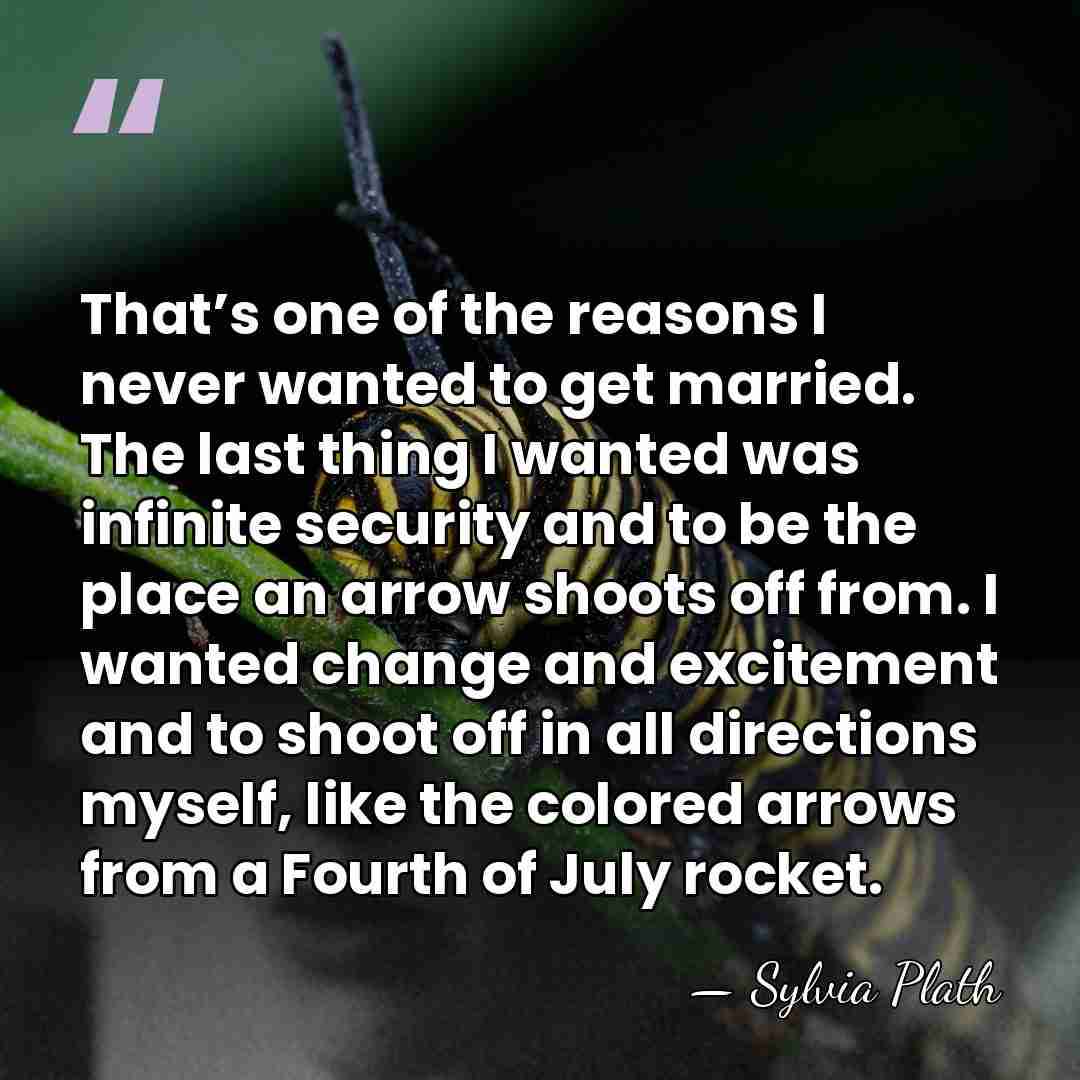 That’s one of the reasons I never wanted to get married. The&hellip; - Sylvia Plath