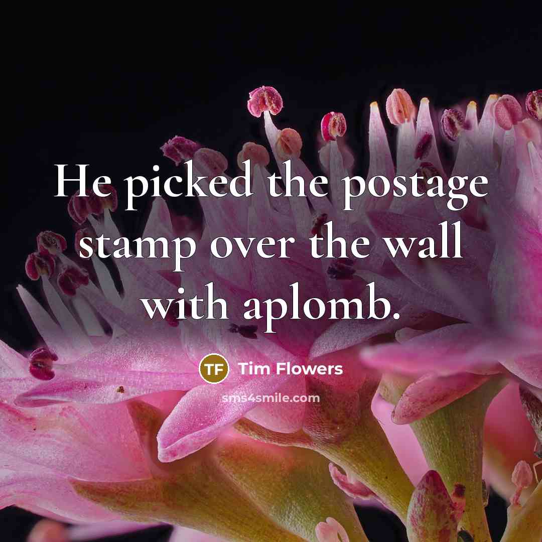 “He picked the postage stamp over the wall with aplomb.” quote by Tim Flowers