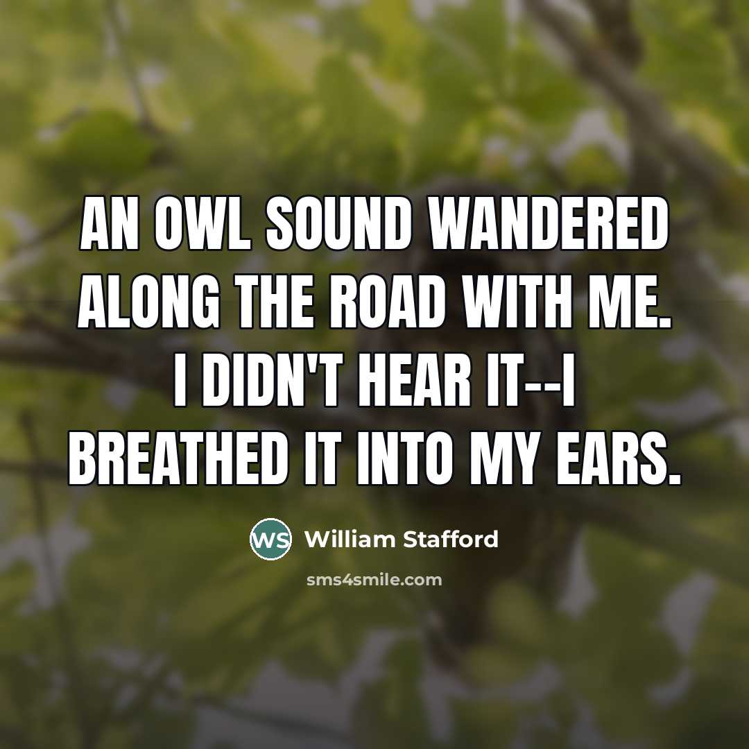 “An owl sound wandered along the road with me. I…” quote by William Stafford