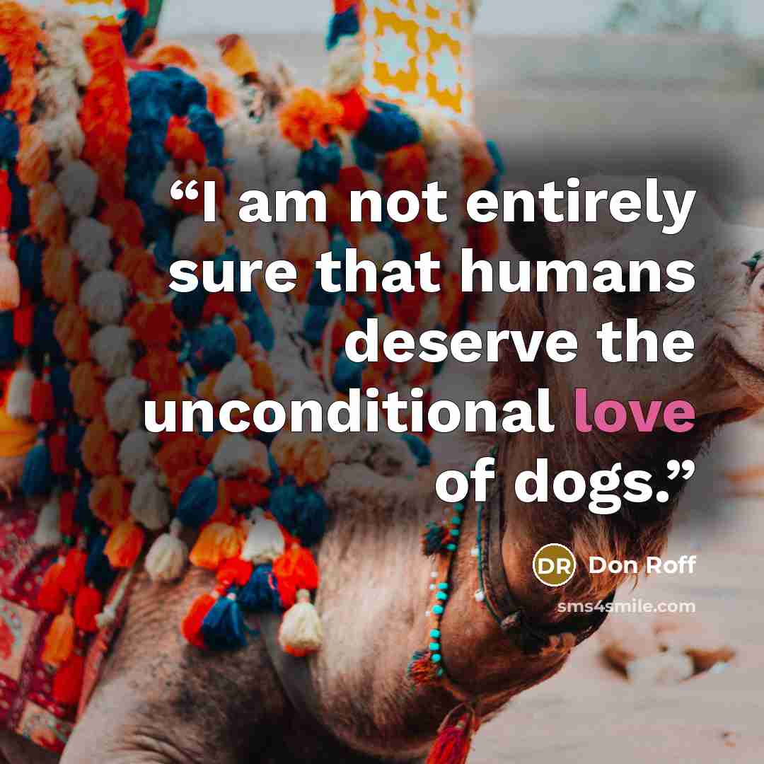 “I am not entirely sure that humans deserve the unconditional love of dogs.” quote by Don Roff