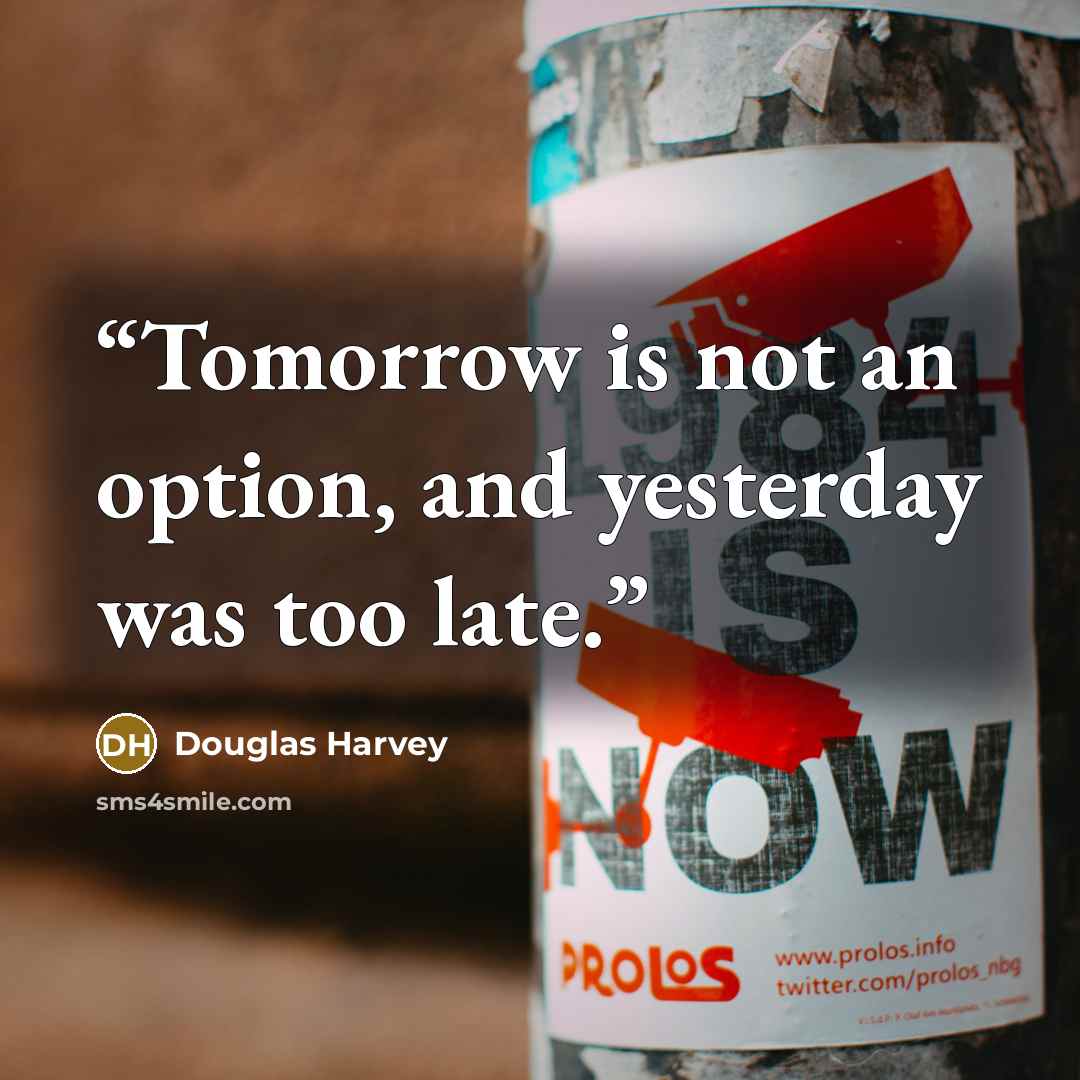 “Tomorrow is not an option, and yesterday was too late.” quote by Douglas Harvey