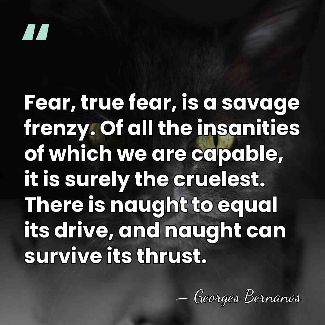 Fear, true fear, is a savage frenzy. Of all the insanities of&hellip; - Georges Bernanos