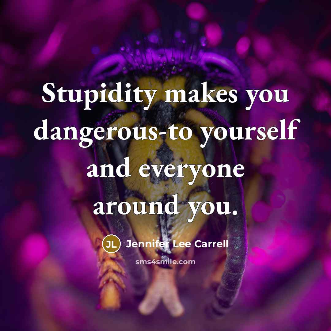 “Stupidity makes you dangerous-to yourself and everyone around you.…” quote by Jennifer Lee Carrell