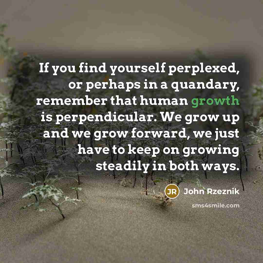 “If you find yourself perplexed, or perhaps in a quandary,…” quote by John Rzeznik