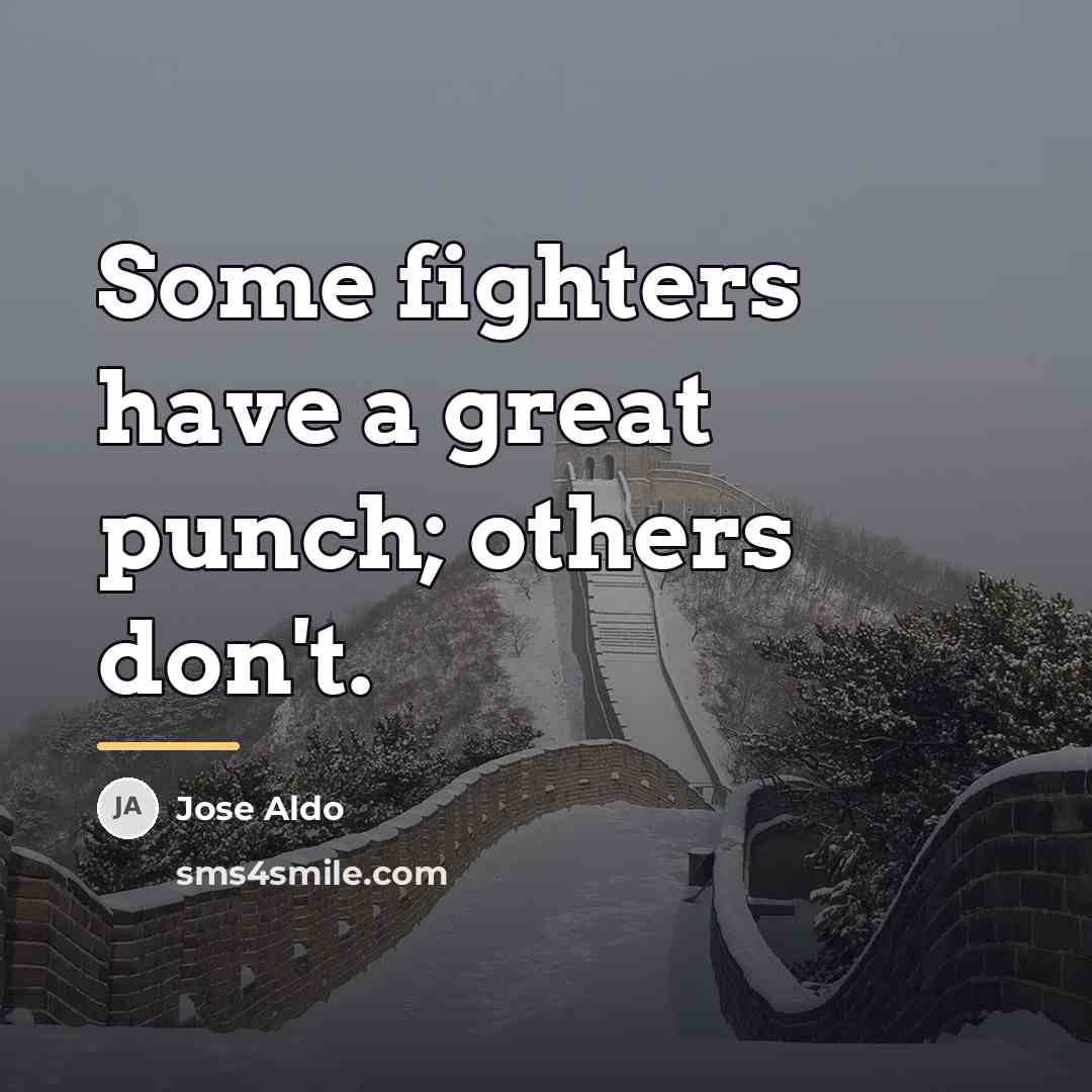 “Some fighters have a great punch; others don't.…” quote by Jose Aldo