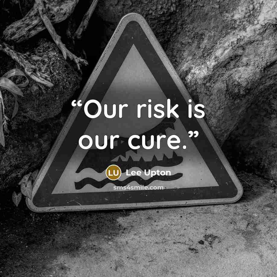 “Our risk is our cure.” quote by Lee Upton