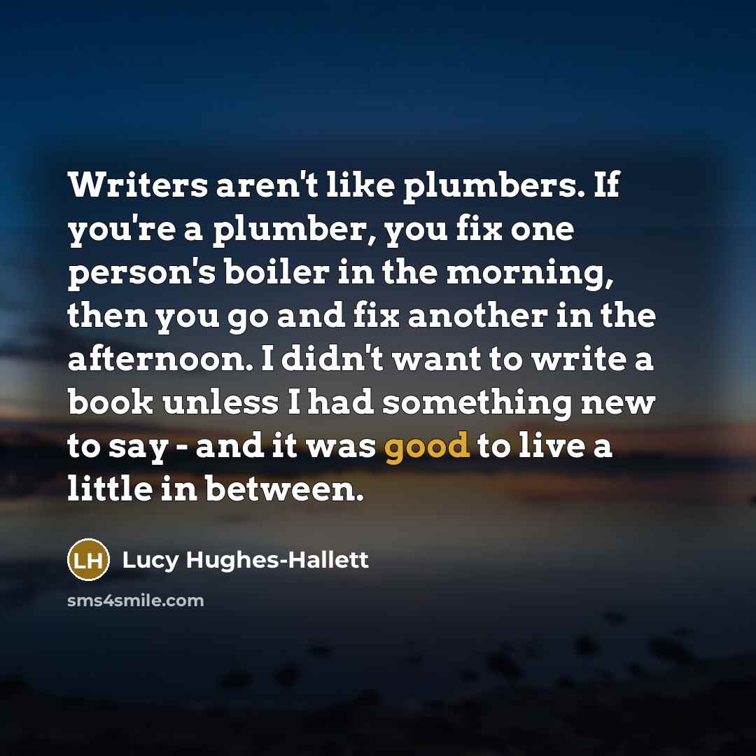“Writers aren't like plumbers. If you're a plumber, you fix…” quote by Lucy Hughes-Hallett