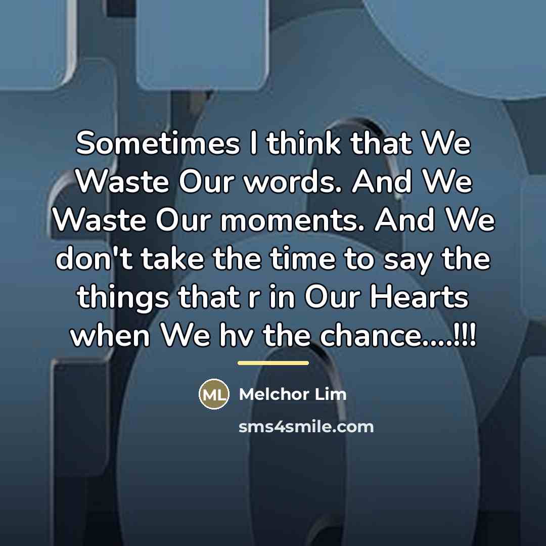 “Sometimes I think that We Waste Our words. And We…” quote by Melchor Lim
