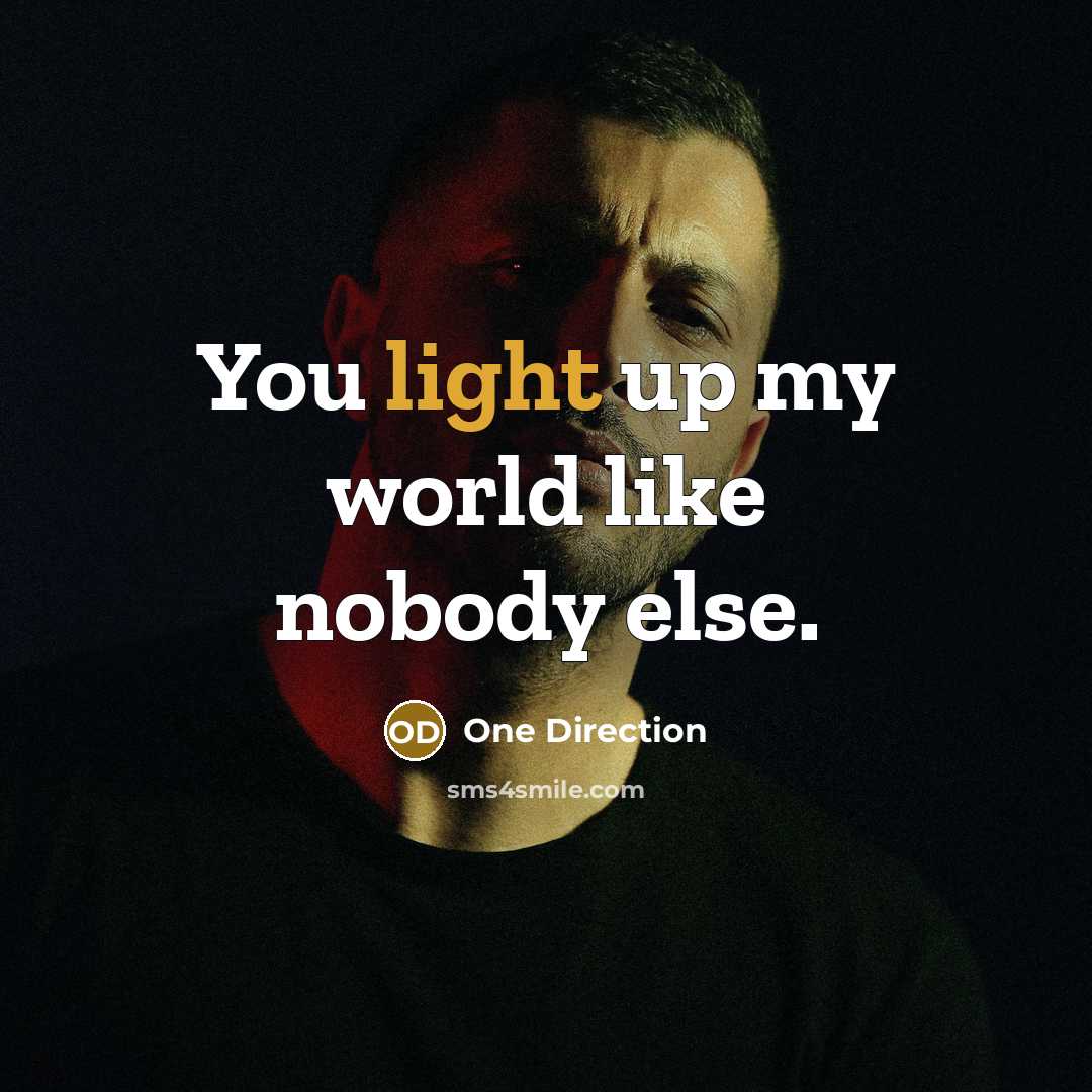 “You light up my world like nobody else.…” quote by One Direction