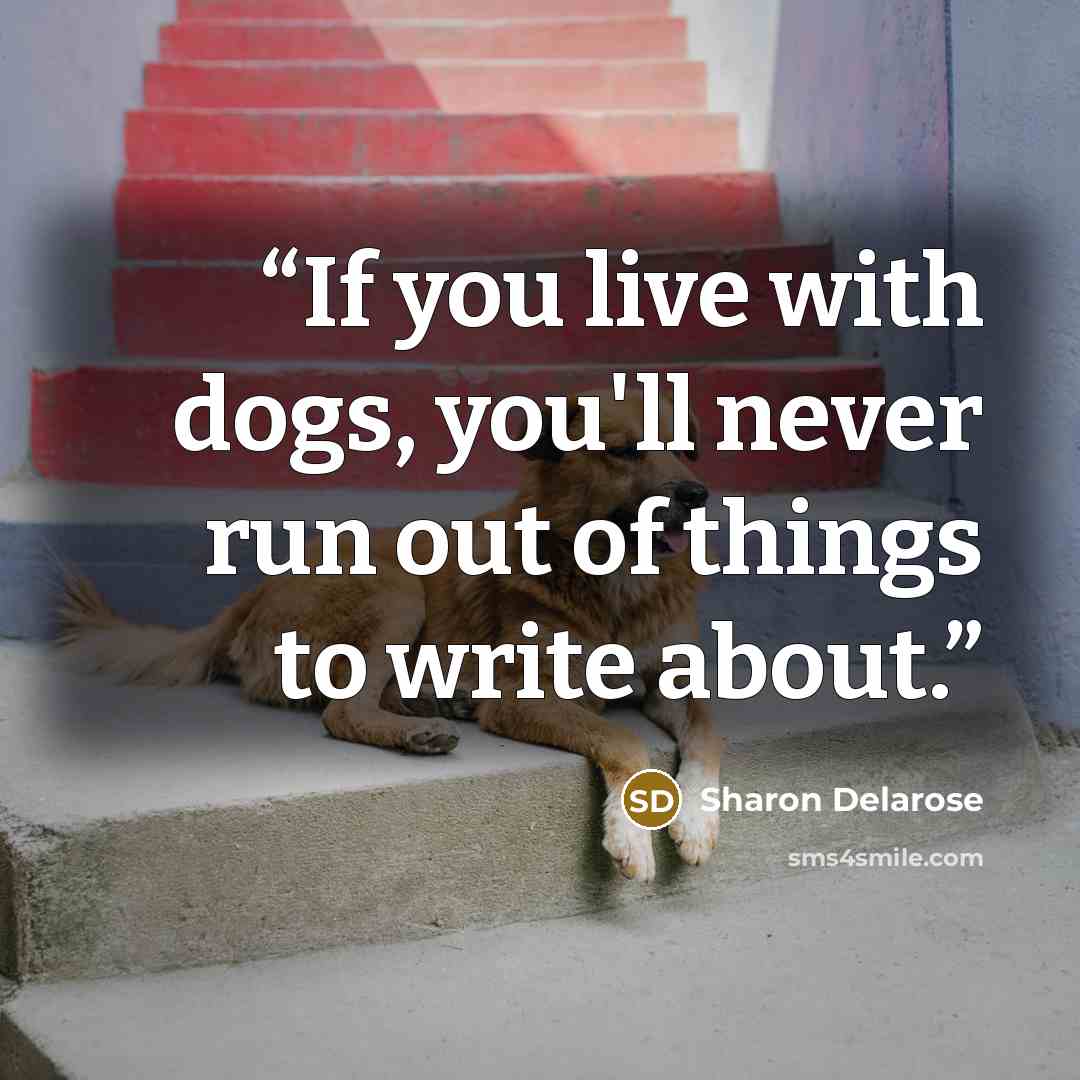 “If you live with dogs, you'll never run out of things to write about.” quote by Sharon Delarose