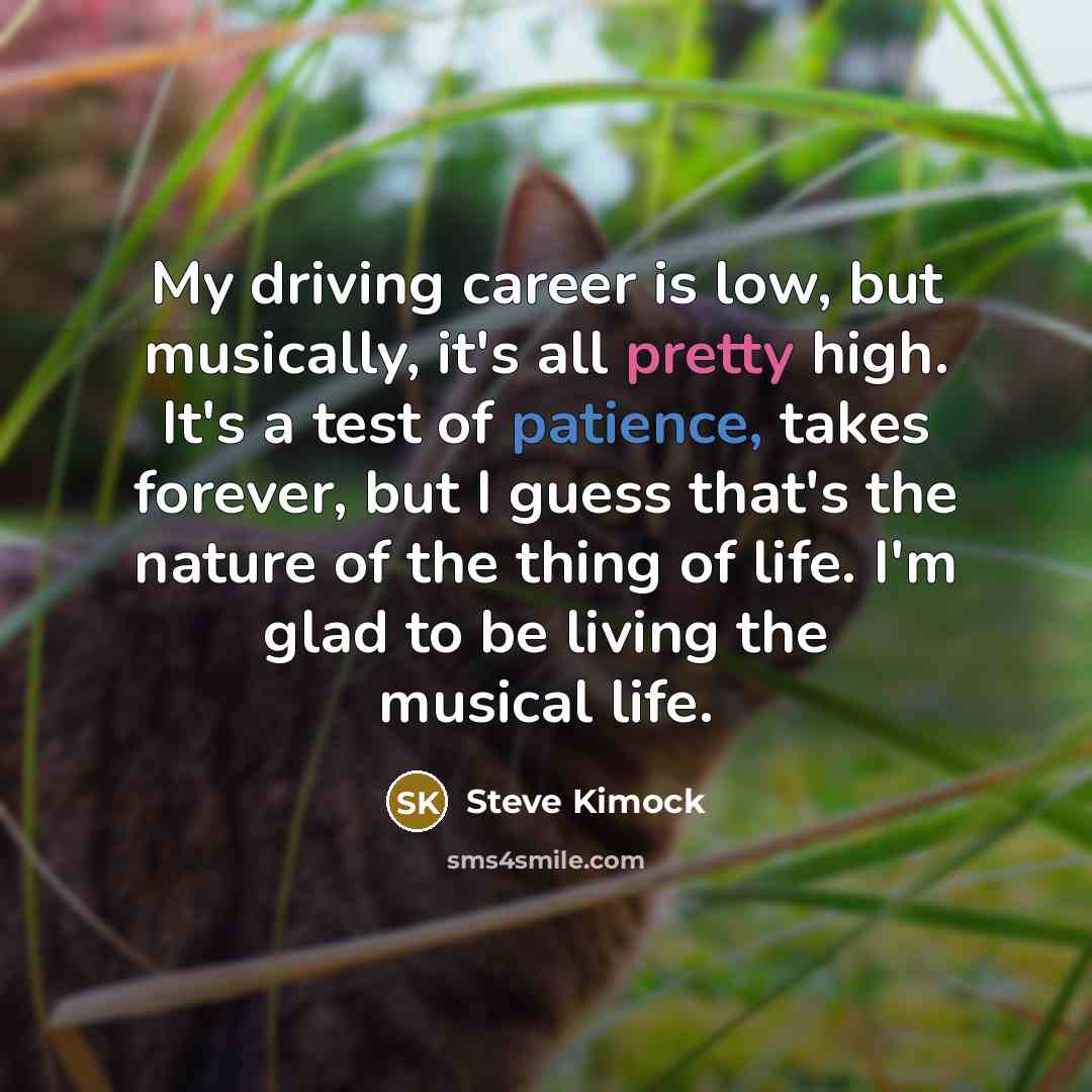 “My driving career is low, but musically, it's all pretty…” quote by Steve Kimock