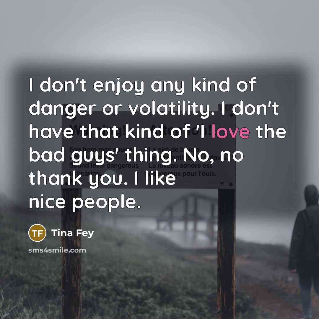 “I don't enjoy any kind of danger or volatility. I…” quote by Tina Fey