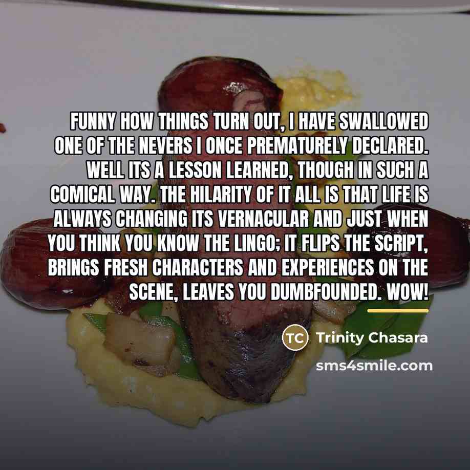 “Funny how things turn out, I have swallowed one of…” quote by Trinity Chasara