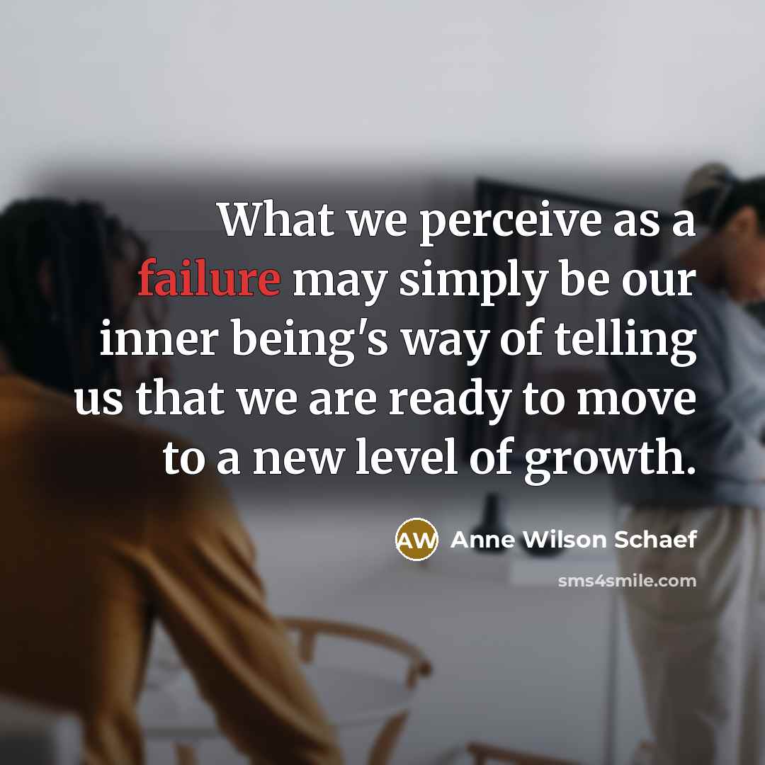 “What we perceive as a failure may simply be our…” quote by Anne Wilson Schaef