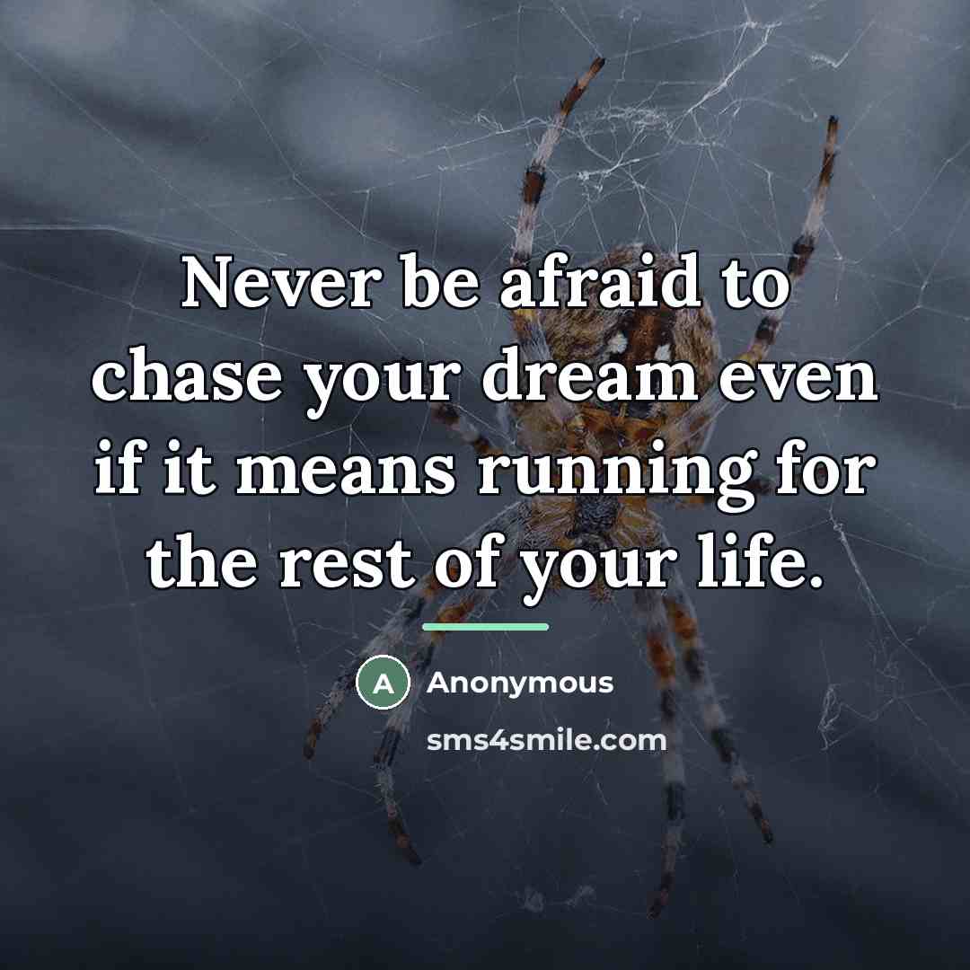 “Never be afraid to chase your dream even if it…” quote by Anonymous