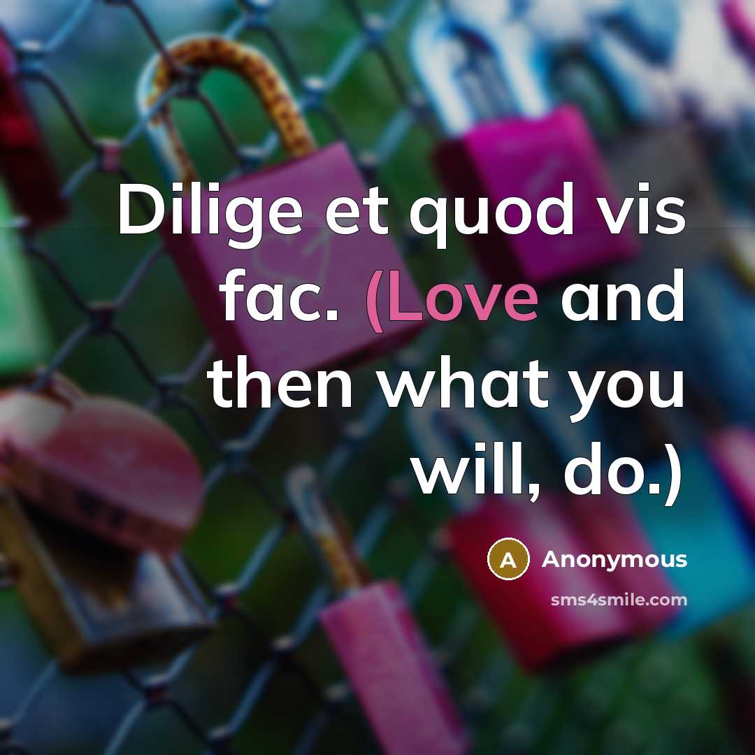 “Dilige et quod vis fac. (Love and then what you…” quote by Anonymous