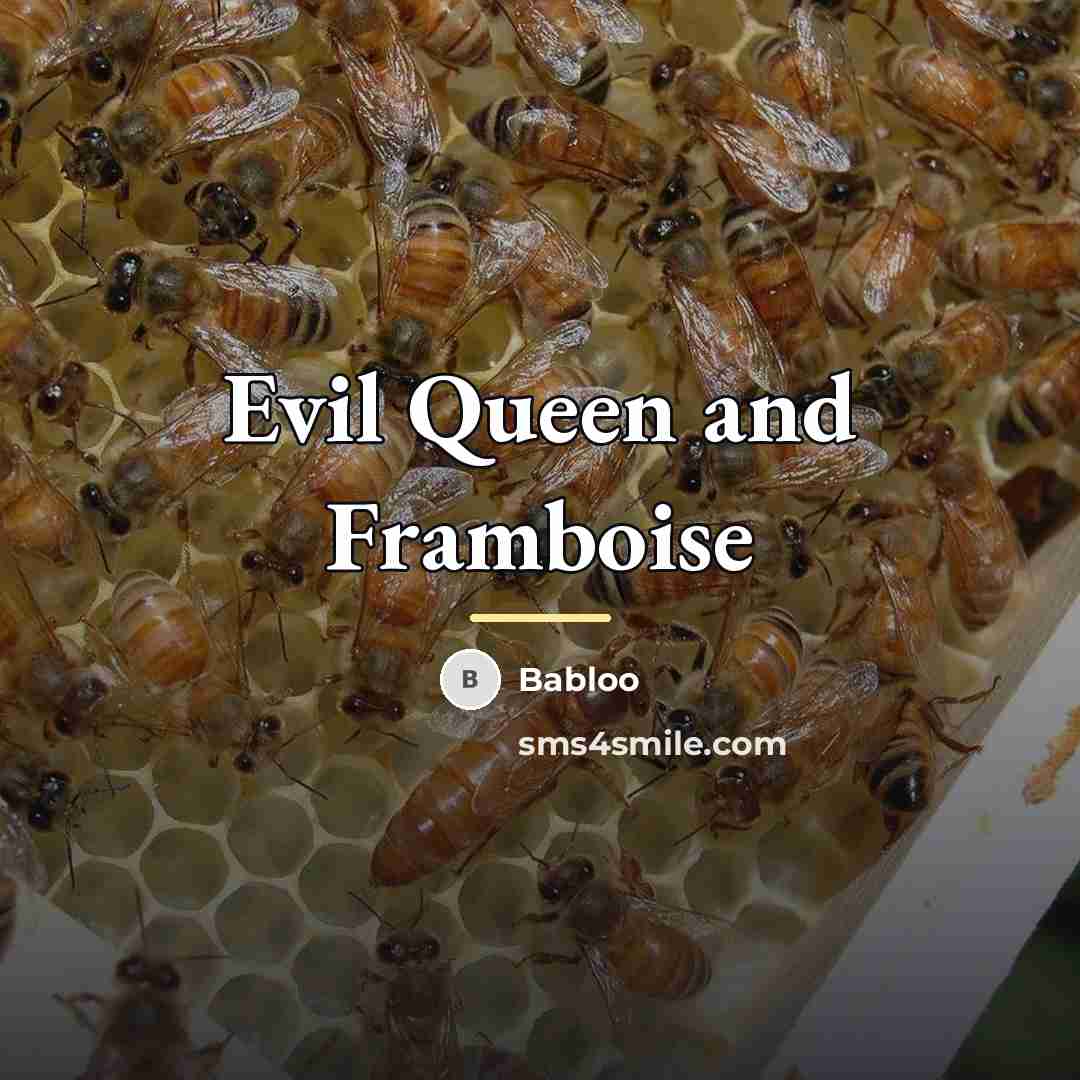 “Evil Queen and Framboise…” quote by Babloo