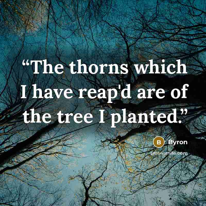 “The thorns which I have reap'd are of the tree I planted.” quote by Byron
