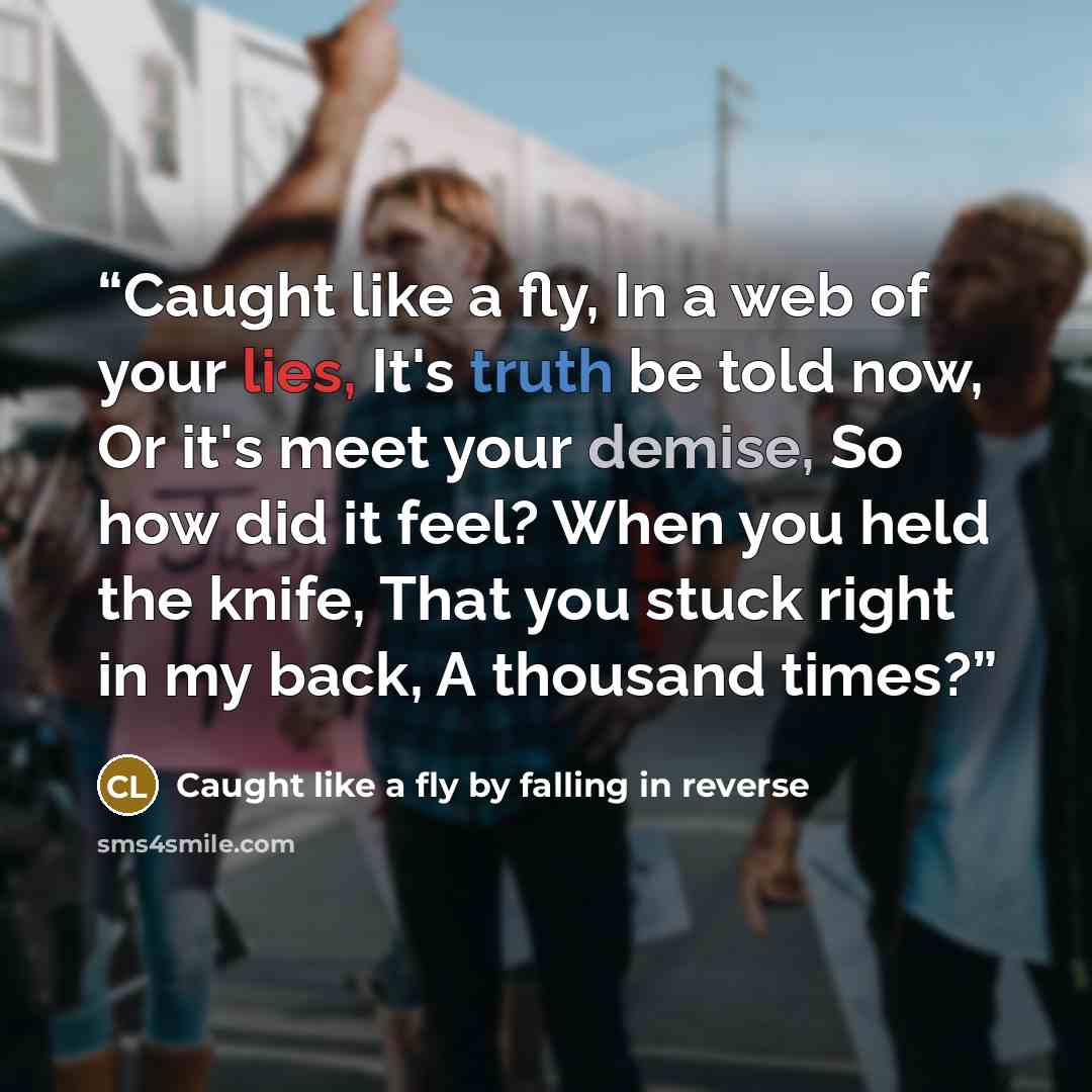 “Caught like a fly, In a web of your lies, It's truth be told now, Or it's meet your demise, So how did it feel? When you held the knife, That you stuck right in my back, A thousand times?” quote by Caught like a fly by falling in reverse