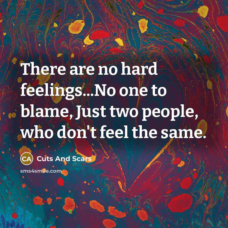 “There are no hard feelings...No one to blame, Just two…” quote by Cuts And Scars