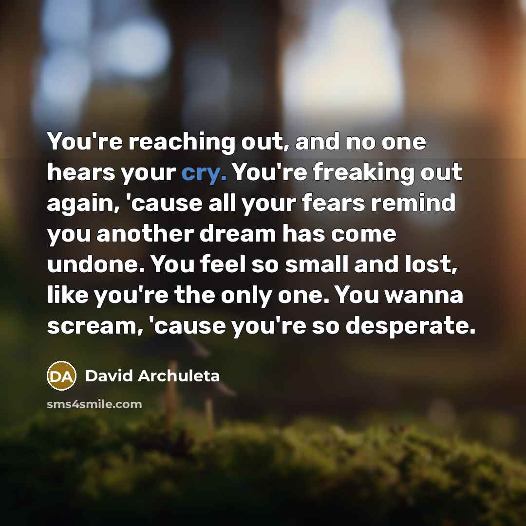 “You're reaching out, and no one hears your cry. You're…” quote by David Archuleta